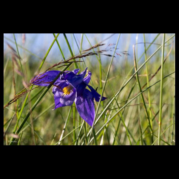 PHOTO84, CLUB, 84 , LUBERON